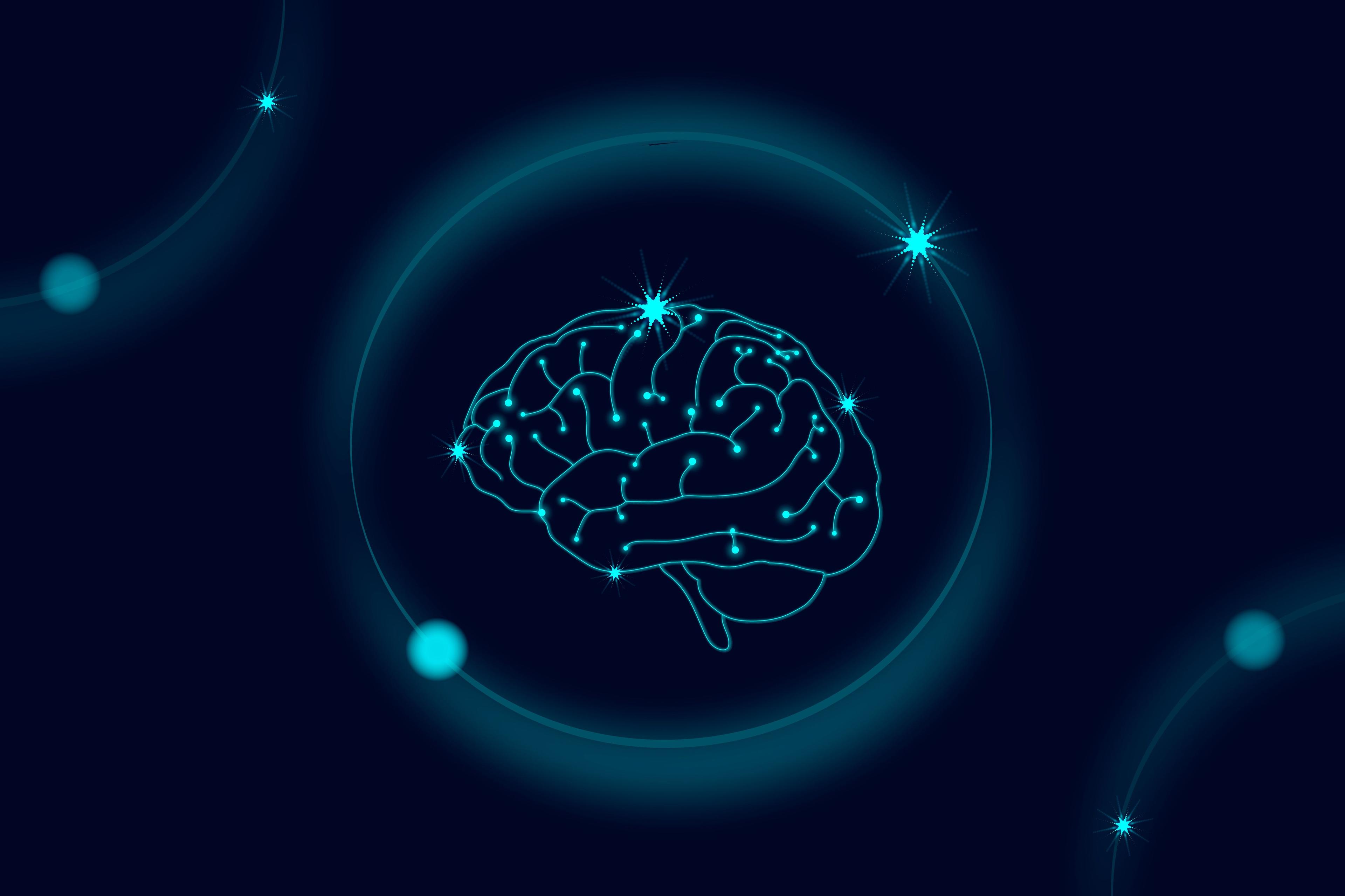 Ventricle Segmentation from Brain MRI Scans: Case Study